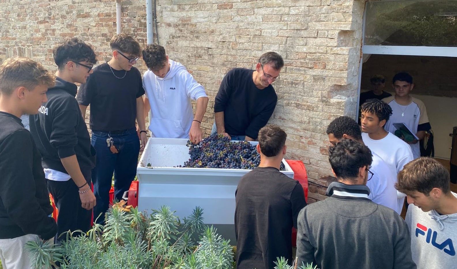 foto_6